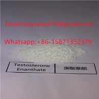 CAS 315-37-7ステロイドパウダー