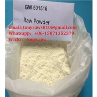 アスリートの持久力回復Gw-501516のためのホット推奨Sarm Gw-501516