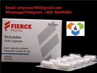 錠剤/カプセル 激しい Nolvadex 米国国内発送 3 日
